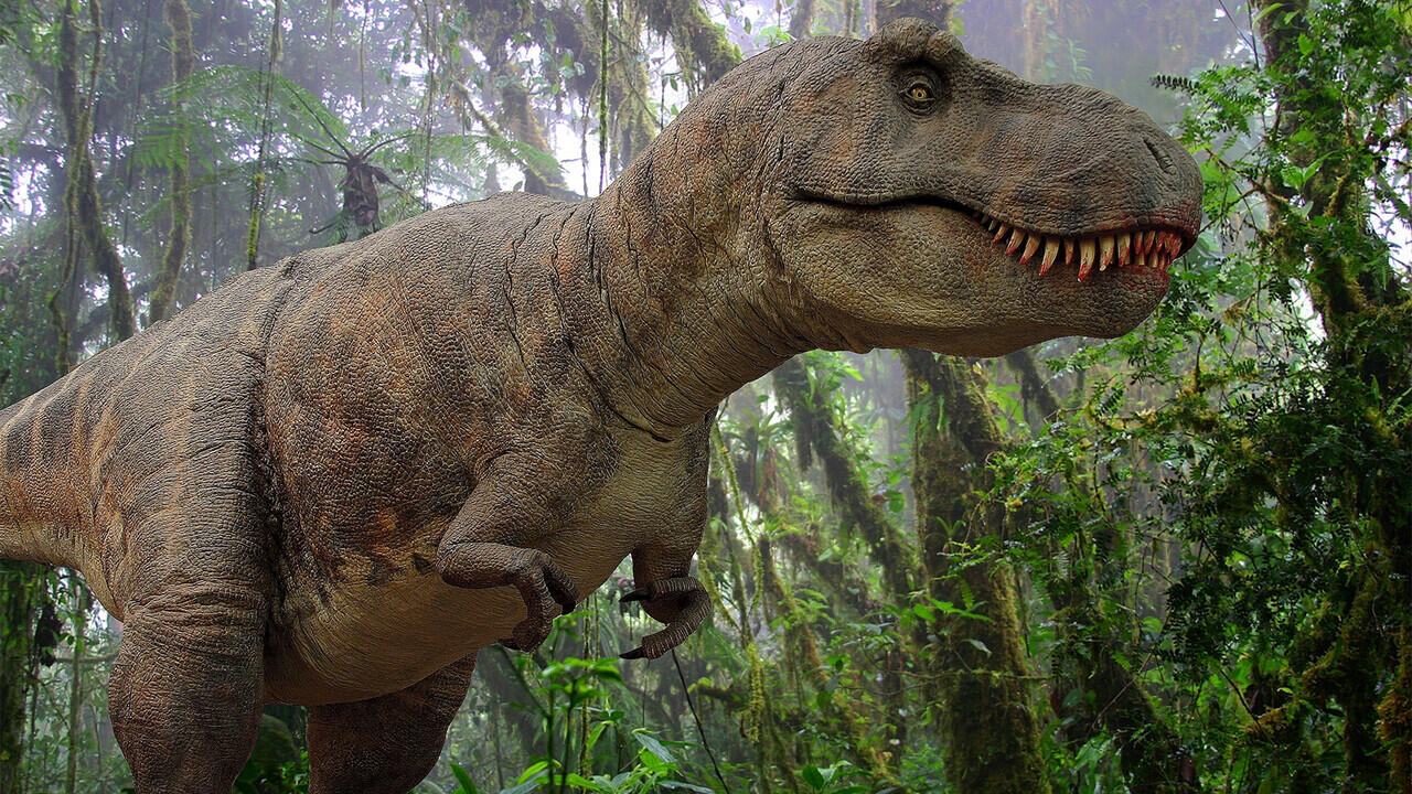 Gak Nyangka! T-Rex Ternyata Punya Hubungan Dekat Dengan Hewan Yang Sering Kita Makan