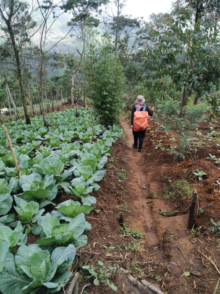 PERMATA INDAH YANG TERSEMBUNYI ! CATPER GUNUNG SETLEREP VIA GEJUGAN 12 JANUARI 2021