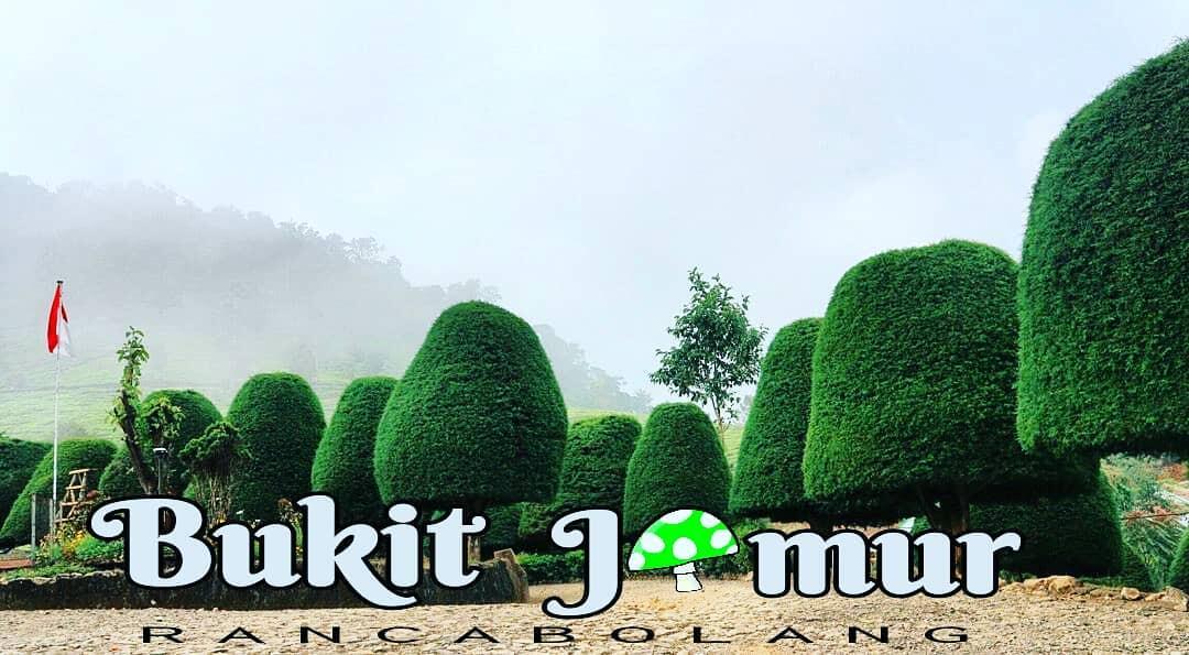 Bukit Jamur Ciwidey, Bandung. Tempat Wisata Murah Dan Bikin Betah