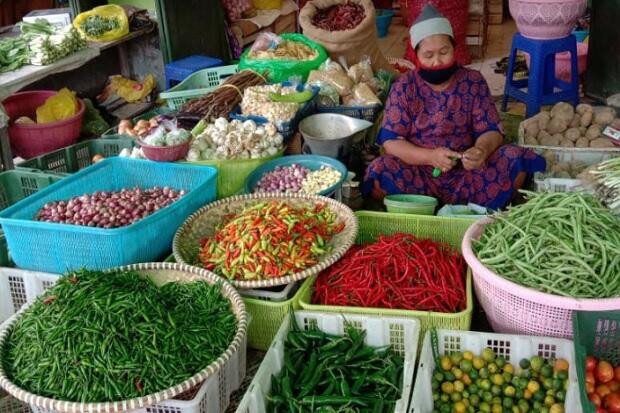 Edan, Harga Cabai Rawit Menggila di Pangkalan Bun Tembus Rp200 ribu Per Kg