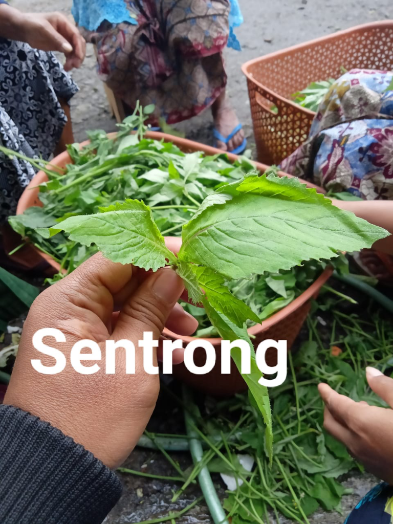 Othok - Owok, Dkk