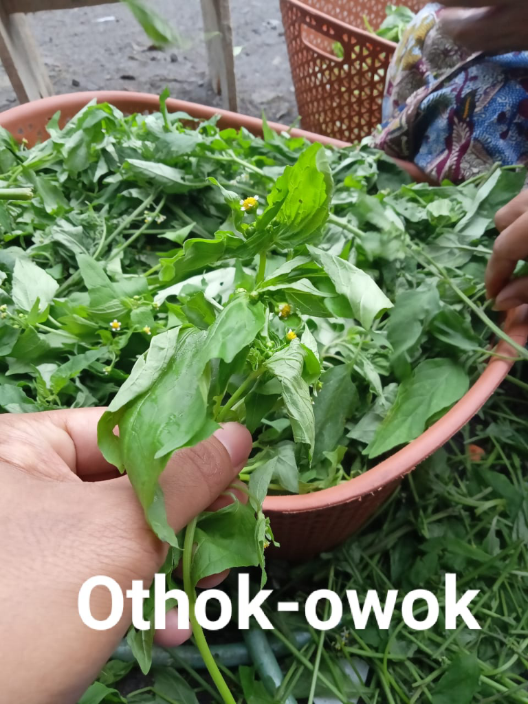 Othok - Owok, Dkk