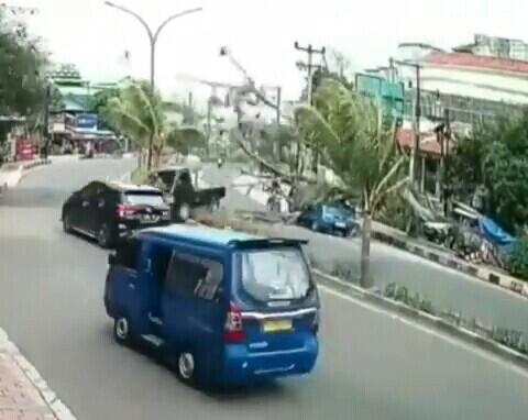 Detik-detik Pohon Tumbang Dan Menimpa Sebuah Angkutan Umum Bikin Spot Jantung!