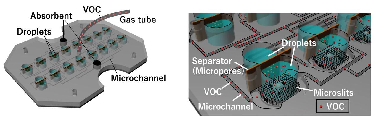 Sensor VOC, Teknologi Yang Dapat Mendeteksi Zat Berbahaya dan Penyakit Dari Bau Badan