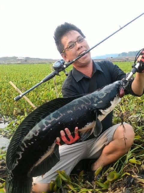 Keberanian Dan Ketakutan Ketika Mancing Ikan Toman