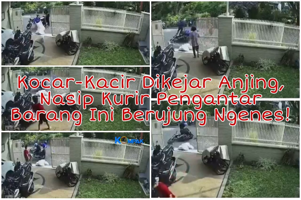 Kocar-kacir Dikejar Anjing, Nasib Kurir Pengantar Barang Ini Berujung Ngenes! Kasihan