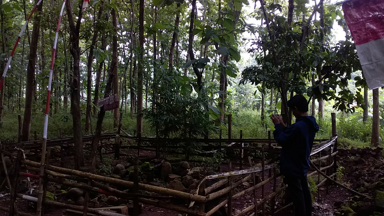 Roboh Sudah Candi Gagang Golok Candi Lebih Tua Dari Borobudur