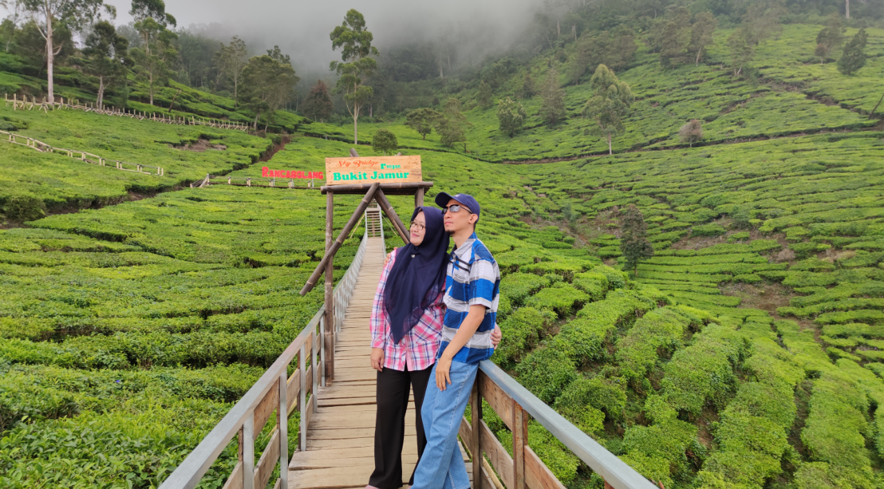 Bukit Jamur Ciwidey, Bandung. Tempat Wisata Murah Dan Bikin Betah