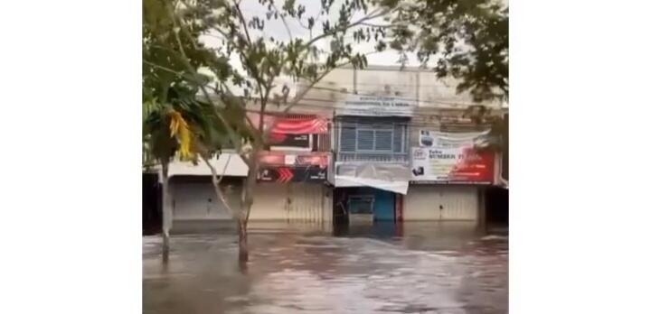 Tuai Pujian, Para Relawan Ini Selamatkan Puluhan Kucing yang Terjebak Banjir Kalsel!