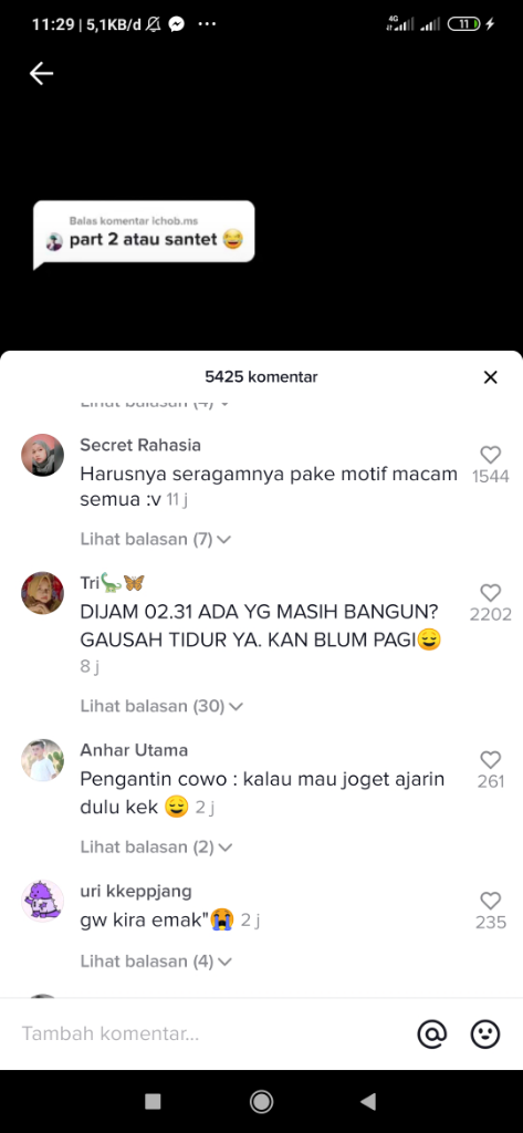 Joged Tiktok Di Pesta Pernikahan, Seru Juga!