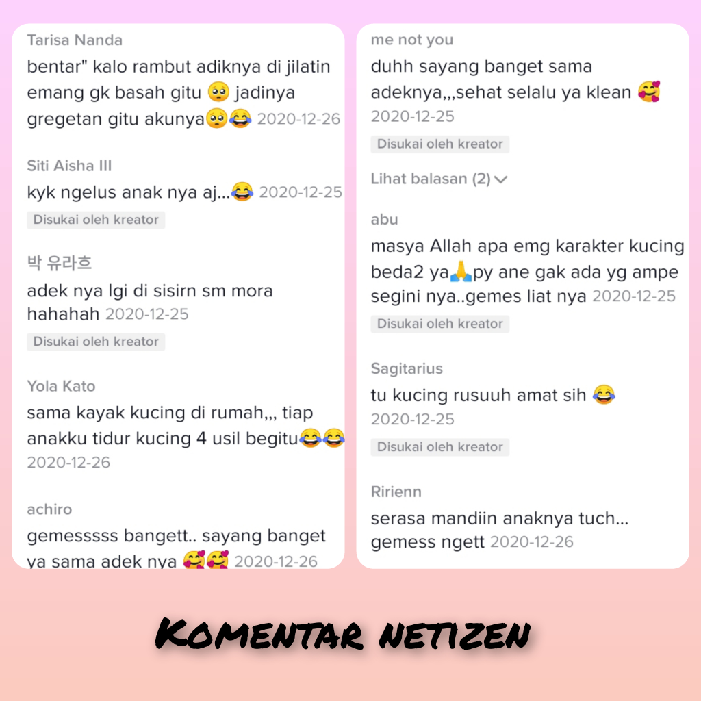 Lucu Dan Menggemaskan Melihat Kucing Ini Menjaga Bayi Yang Sedang Tertidur