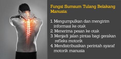 Keren, Ilmuwan Menemukan 'Formula' Perbaikan Sumsum Tulang Belakang Dalam 2 Minggu!