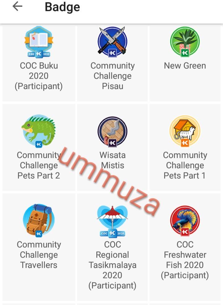 Jatuh Bangun Demi Badge š