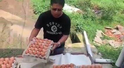 MINTA MAAF SETELAH VIRAL BUANG TELUR