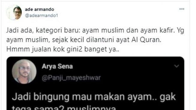 Viral Ayam Muslim, Sejak Menetas Didengarkan Lantunan Al Quran, Apa Rasanya