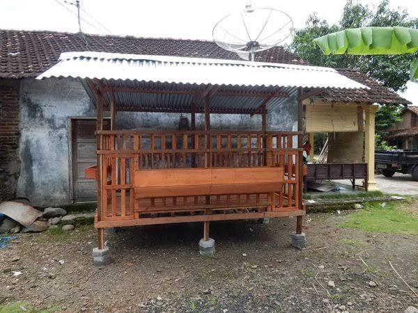 Tips dan Trik Menjadi Peternak Kambing yang Berhasil dan Sukses! Boleh Dicoba