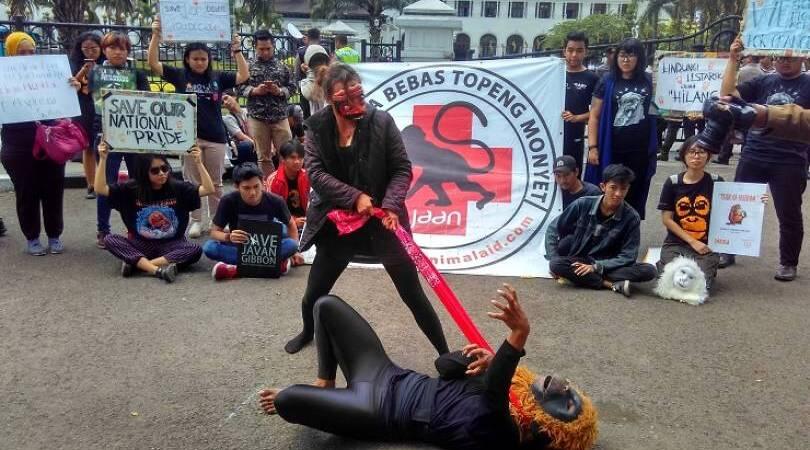 Potret Atraksi Monyet Jalanan, Hiburan Atau Kekejaman pada Hewan