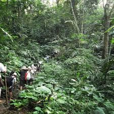 &#91;COC Reg. Banten Kulon&#93; Belajar Kehidupan dari Suku Baduy, Tenteram di Pelukan Alam