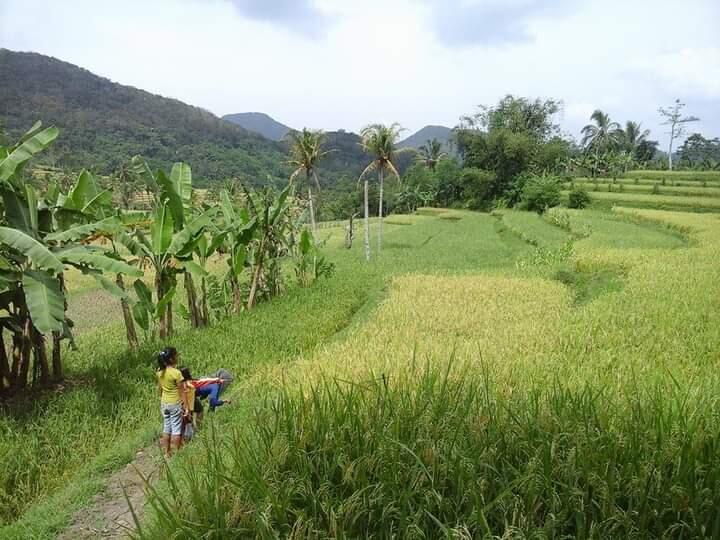 Deretan Kegiatan Unik Yang Dilakukan Di Kampung Saat Musim Hujan, Nomor 5 Paling Seru