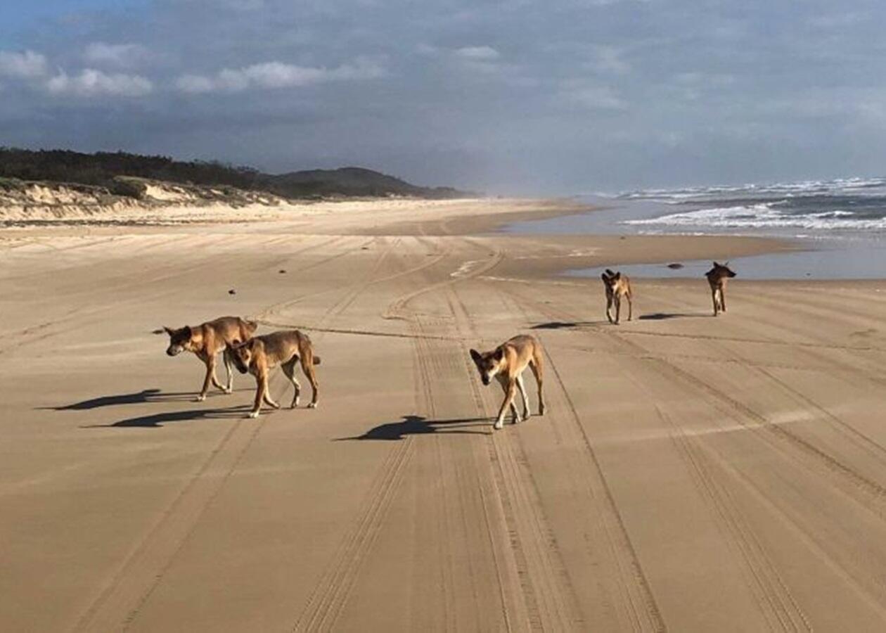 Jangan ke sini! Inilah 5 Pantai Paling Berbahaya di Dunia