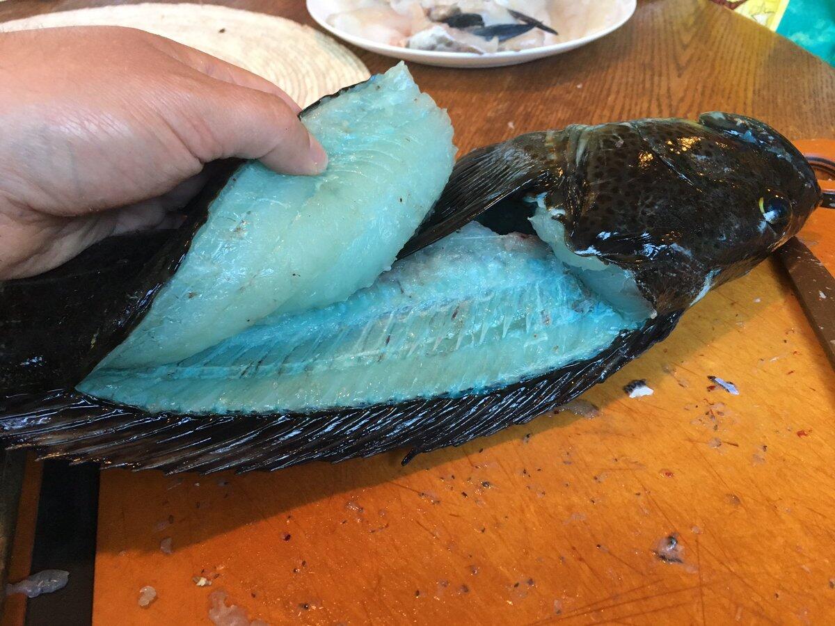 Unik Banget! Daging Ikan Ini Berwarna Biru