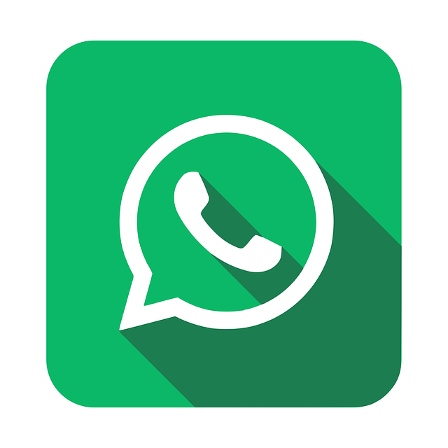 Gini Gan, Cara Download Status Whatsapp !