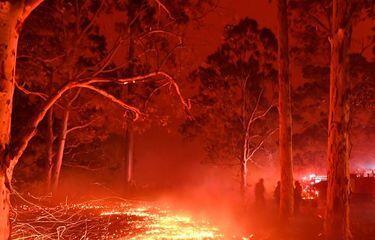 Kebakaran Hutan, Warga Perth Bingung Antara Keluar Rumah atau Jalankan Lockdown
