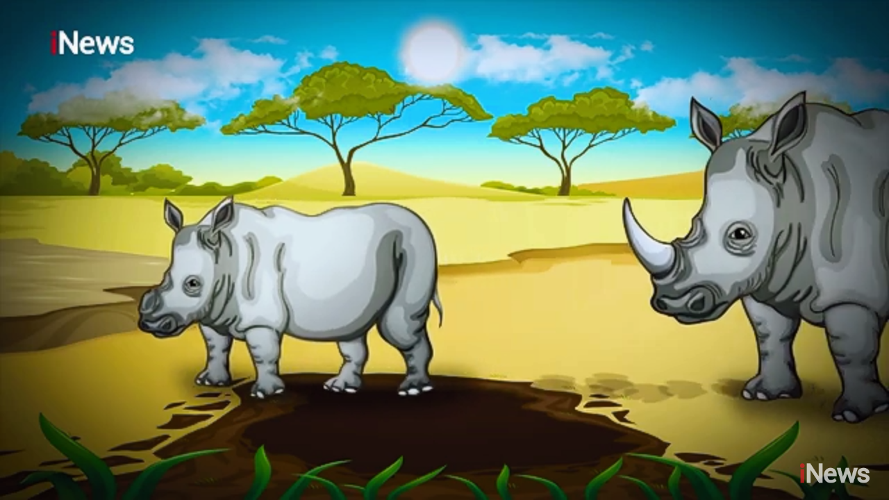 Mengenal Kebiasaan Unik Badak Jawa, Hewan Endemik TNUK