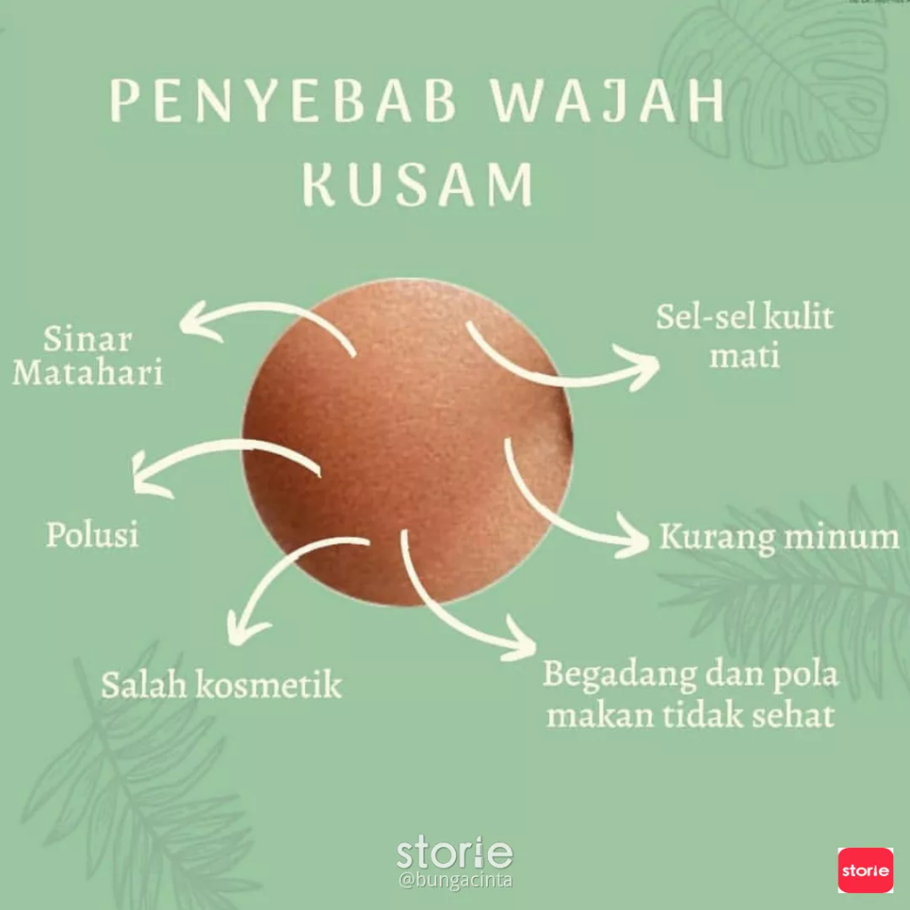 Ini dia nih biang keroknya sist !