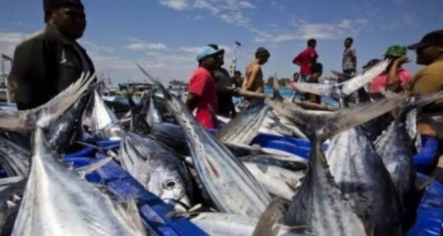 Wow!Jepang Guyur Dana Hibah Capai Rp704 M Bangun SKPT di Enam Pulau Terluar Indonesia