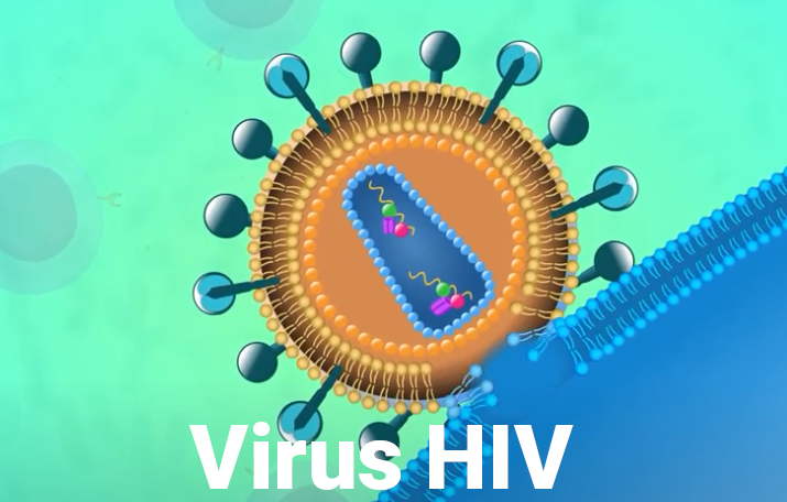 Hal Yang Harus Dilakukan Jika Tidak Sengaja Terkena HIV