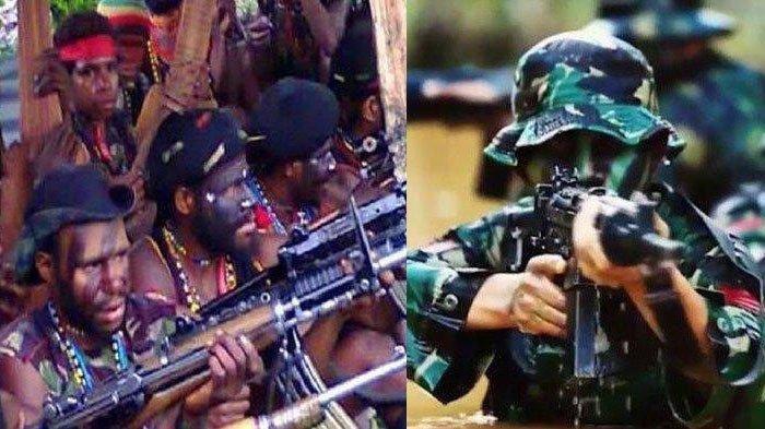 Berani Sekali! KKB Papua Merdeka Tantang TNI Perang Terbuka, Dari Mana Senjatanya?