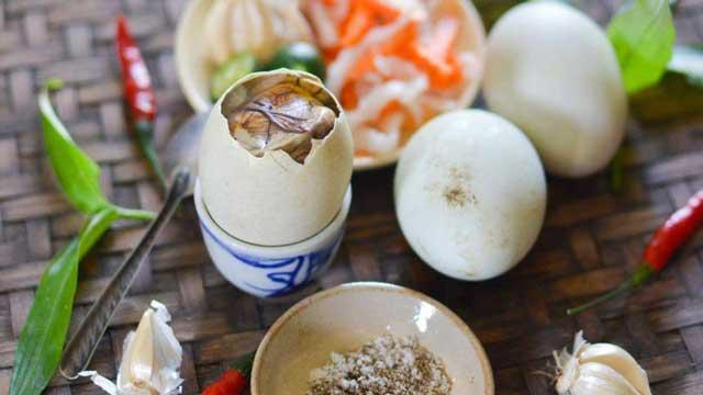 Deretan Hewan Dijadikan Kuliner, Salah Satunya Kucing!