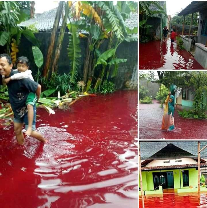 Banjir Merah Darah Terjadi Di Suatu Wilayah. Apakah berbahaya?