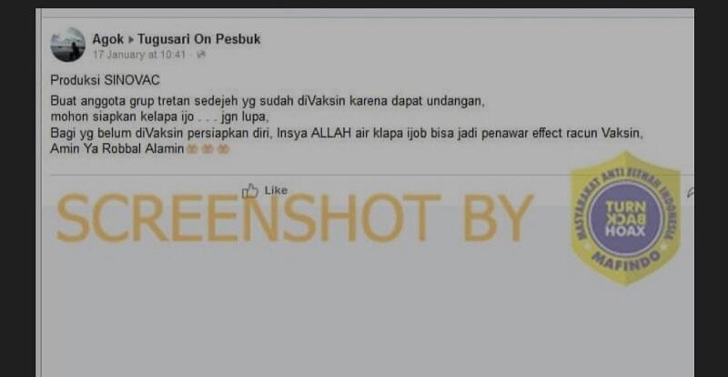 Air Kelapa Bisa Netralisir Racun Vaksin COVID-19