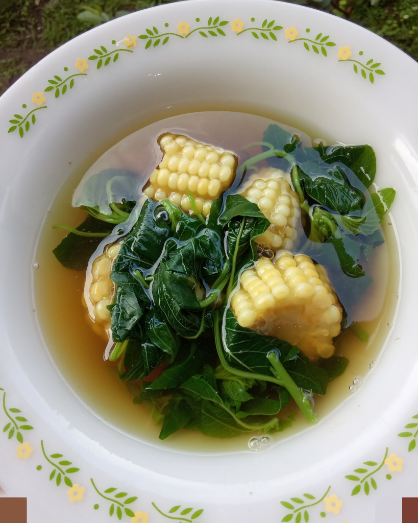 Sayur Bayam yang Menyegarkan di Kala Cuaca Terik