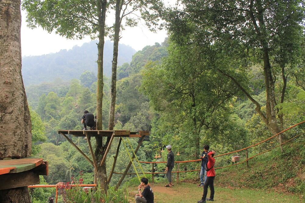 Menelusuri Curug yang tersembunyi di Bogor, CURUG CIBULAO.