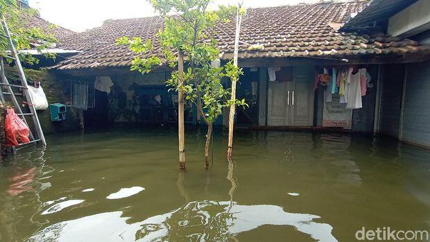 Lebih dari Sepekan Banjir di Kudus Belum Surut, 4.420 Rumah Terendam