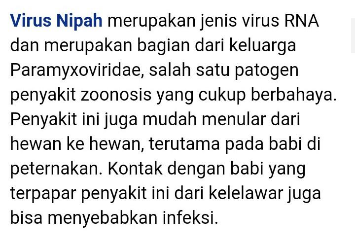 Pakar Unair: Virus Nipah Berpotensi Pandemi Jilid 2