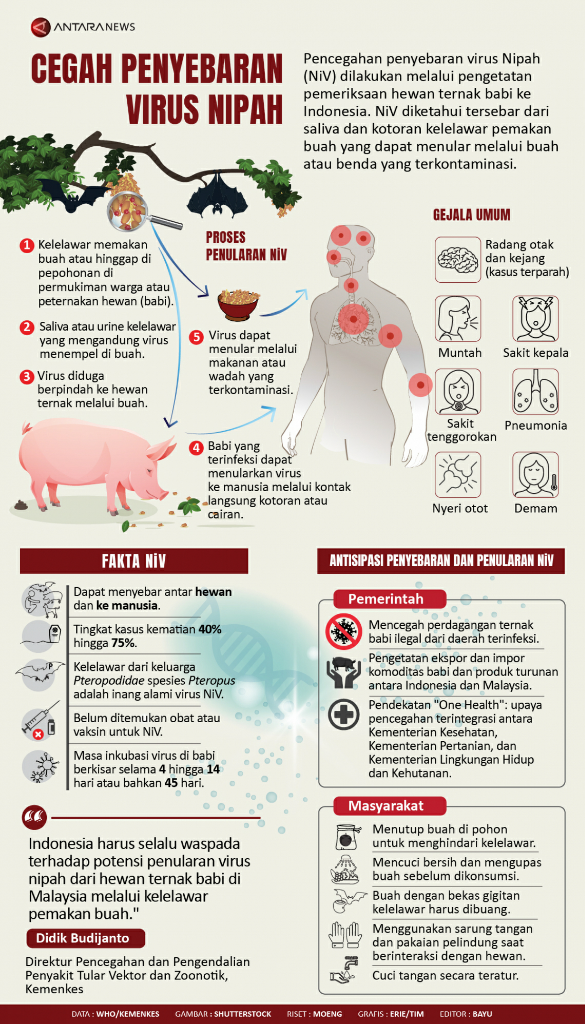 Pakar Unair: Virus Nipah Berpotensi Pandemi Jilid 2