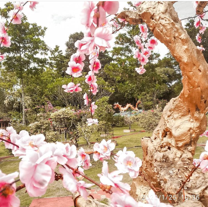 Destinasi Wisata yang Romantis di Era New Normal, Kesini Saja Gan!
