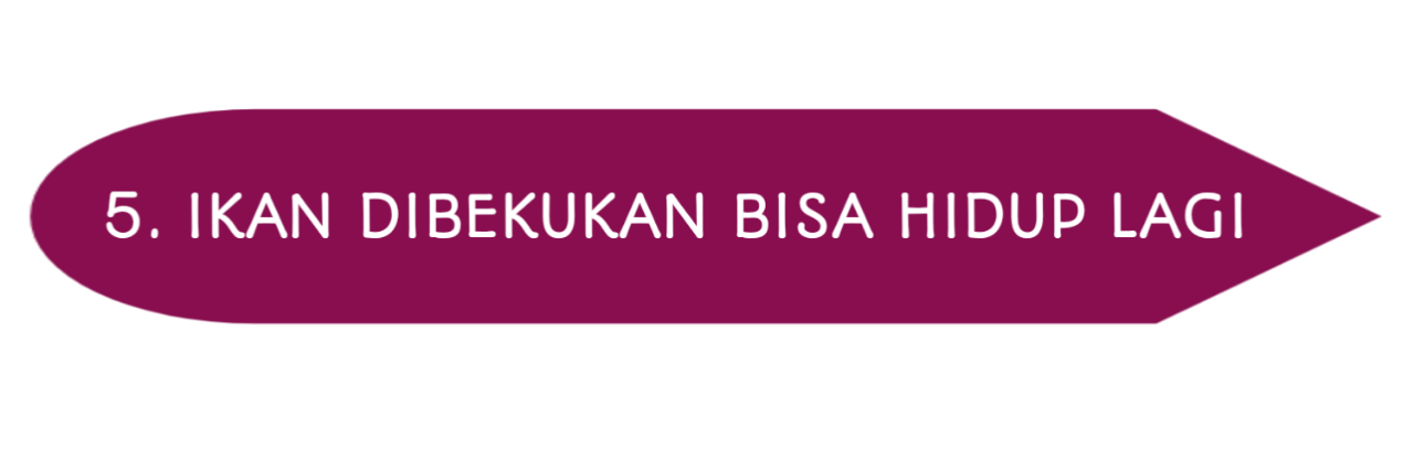 KARENA TERLALU DINGIN , HEWAN INI SAMPAI MEMBEKU SECARA TIBA-TIBA !!