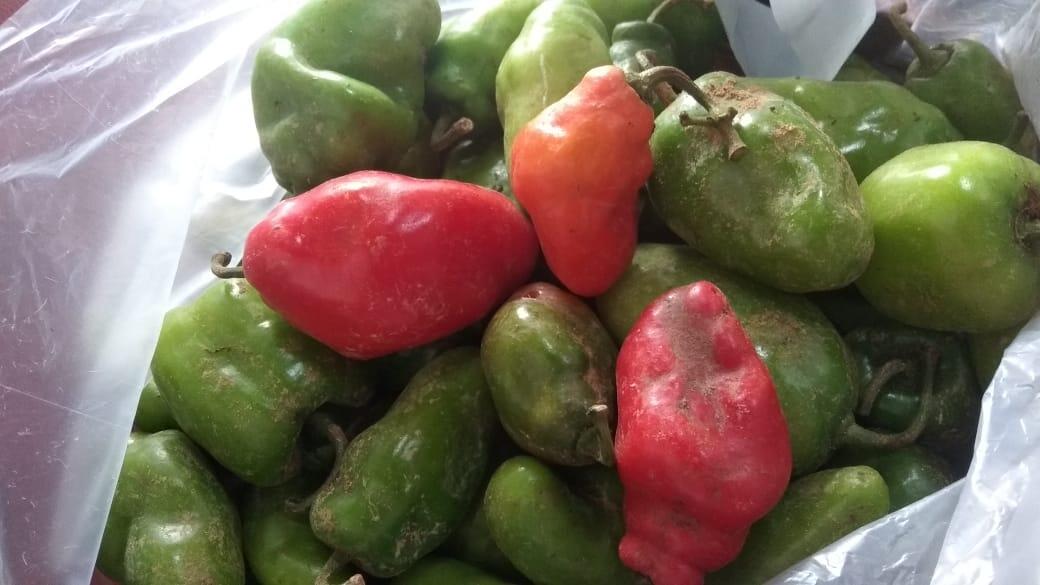 Pindang Cabe Gendot