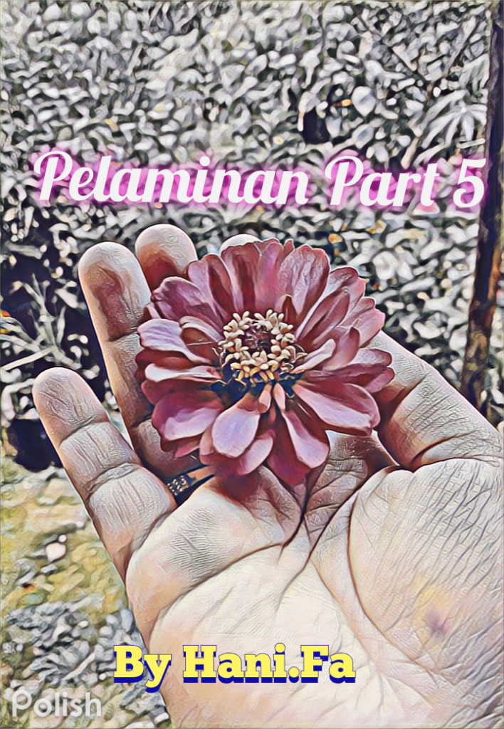 Pelaminan Part 5 Balik Lagi Ke Perusahaan Lama