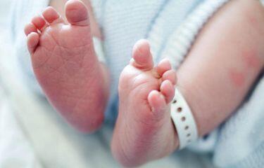 Bayi 8 Hari Diculik Kawanan Monyet lalu Tewas Dilempar dari Atap Rumah