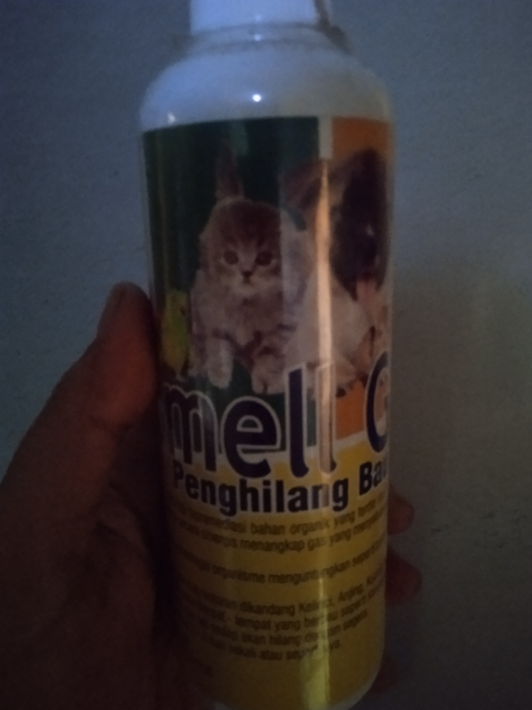 Kotak Doraemon Anabuls Dirumah Mamak