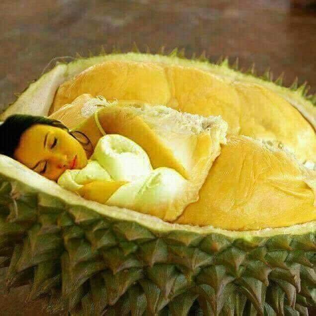Kalau Takut Jangan Dibuka–Takut Isinya Bukan Duren Tapi Nganu, Gan!