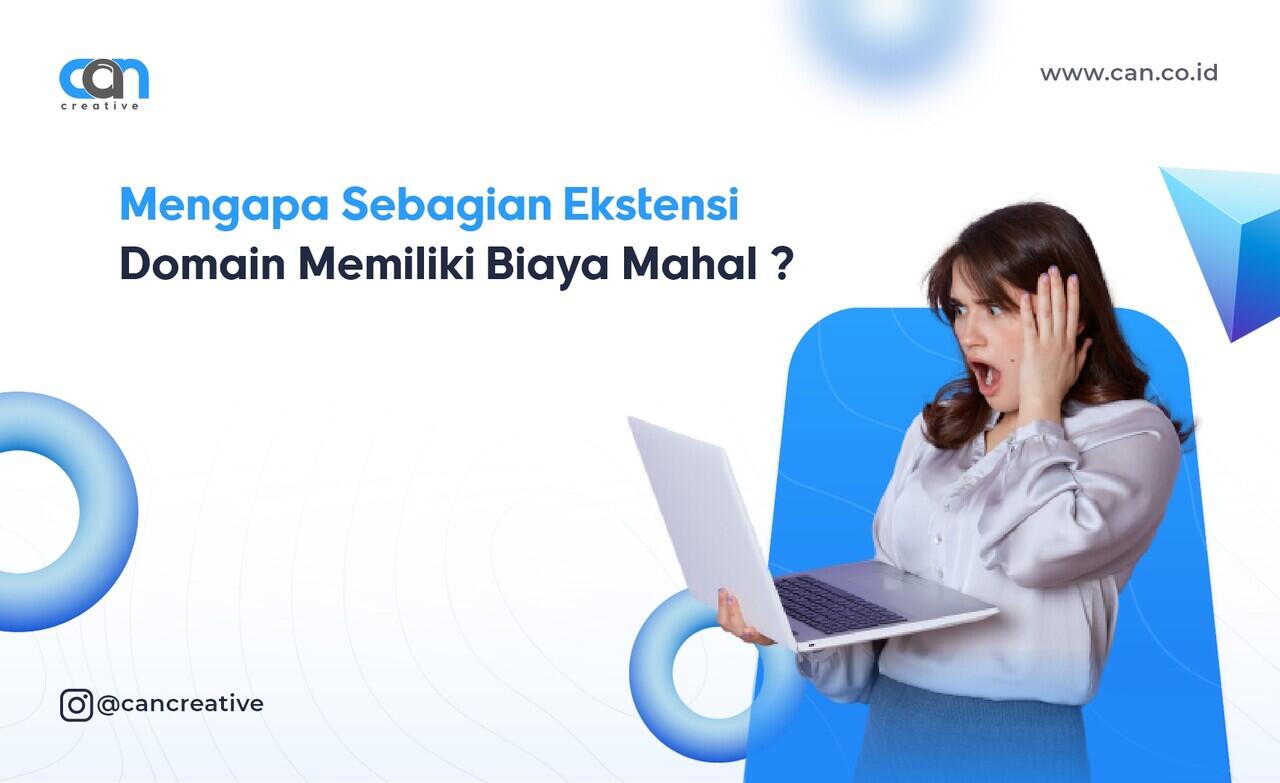 Mengapa Sebagian Ekstensi Domain Memiliki Biaya Mahal ?