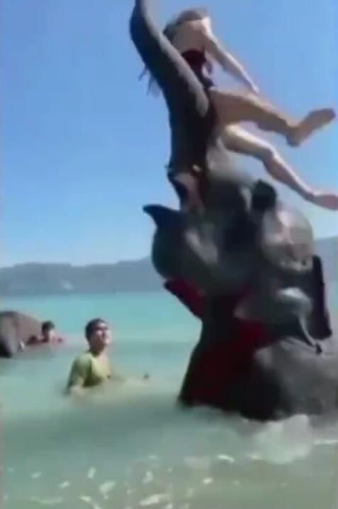 Wanita Cantik Pose di Atas Belalai Gajah, Endingnya Malah Bikin Ngakak