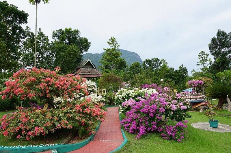 Taman Bukit Bougenville, Nikmati Waktu Indah Dan Romantis Bersama Pasangan Disini